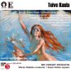 Download track 08. Four Songs With Orchestra - Long I Stared Into The Fire Op. 22