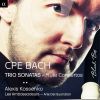 Download track Concerto In D Major, Wq. 13: III. Allegro Assai'