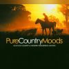 Download track Sweet Talkin' Man