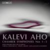 Download track 05 - Chamber Symphony No. 3 - I. …jäätyivät Umpeen Levottomat Vedet