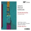 Download track Symphony No. 1 In F Minor, Op. 7 IV. Finale. Allegro Molto