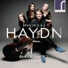 Download track 02. String Quartet In G Minor, Op. 20, No. 3, Hob. III33 II. Menuet & Trio