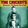 Download track A Fool Never Learns (Demo) (Remastered)