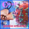 Download track Spring Mood