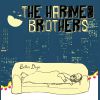 Download track Better Days
