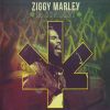 Download track Higher Vibrations