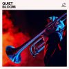 Download track Jazz Mood Music