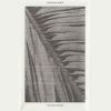Download track There Is Always Tomorrow