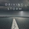 Download track Lockdown Rain, Pt. 8