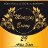 Download track Sen Beni Çok Ararsın