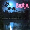 Download track Caribbean Nights
