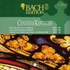 Download track Gleichwie Der Regen Und Schnee Vom Himmel Fällt BWV 18 - III Recitativo