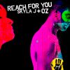 Download track Reach For You (Em. Ash Pattern39 Mix)