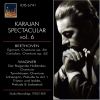 Download track Tristan Un Isolde Prelude & Liebestodt