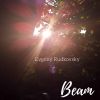 Download track A Bright Day