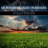 Download track Liquid Drum And Bass Collection (Continuous Dj Mix)