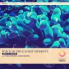 Download track Submerge (Original Mix)