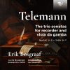Download track Trio Sonata In D Minor, TWV 42d7 IV. Allegro