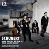 Download track String Quartet No. 10 In E-Flat Major, D. 87: I. Allegro Moderato