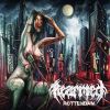Download track Dead Light District (Intro)