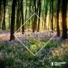 Download track The Machine