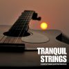 Download track Calm Sunset