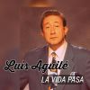 Download track La Vida Pasa