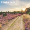 Download track Relaxing Music To Help Fall Asleep