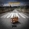 Download track The Passenger