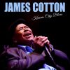 Download track Mama Talk To Your Daughter (Live)