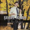 Download track Bu Gece Efkarlıyım
