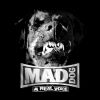 Download track A Real Voice