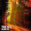 Download track Is It The Farewell (Extended Mix)