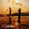 Download track Sunlight (Animal Trainer Remix)