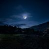 Download track Quiet Dream Waltz