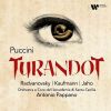 Download track 07. Turandot, Act 1 O Giovinetto! Grazia! Grazia! (Coro, Calaf)