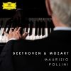 Download track Variation II (Poco Allegro)