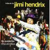 Download track Purple Haze