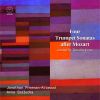 Download track Sonata No. 2 In B-Flat Major: III. Andante (Theme And Variations I–XII)