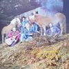 Download track Long Thin Dawn
