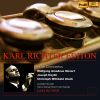 Download track Flute Concerto No. 2 In D Major, K. 314: III. Rondo. Allegretto