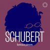 Download track Fantasy In C Major, Op. 159, D. 934: I. Andante Molto