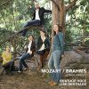 Download track Brahms: String Quintet No. 2 In G Major, Op. 111 - II. Adagio