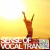 Download track At The End Of The Day (Sied Van Riel Remix)