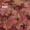 Download track Pure Rain, Pt. 25