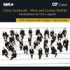 Download track Symphony No. 5 In C-Sharp Minor: IV. Adagietto, 
