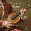 Download track Fantasia For Solo Violin No. 12 In A Minor, TWV 40 25 III. Presto - Grave