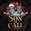 Download track Ave De Paso