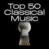 Download track Concerto For Two Violins In D Minor, BWV 1043: III. Allegro