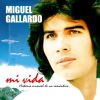 Download track Fiel